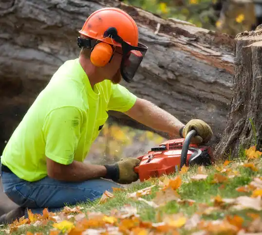 tree services Wallace Ridge